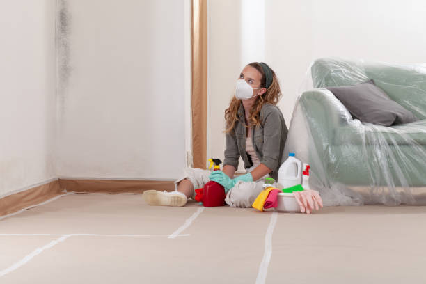 Reliable Crawl Space Mold Remediation contractor in Newport News, VA by Mold Remediation HQ